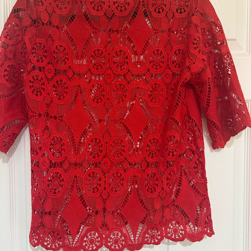 Umgee Red lace Top